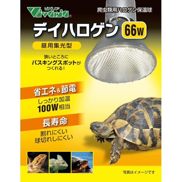 狭いところにバスキングスポットが作れる、集光型ハロゲン保温球です。