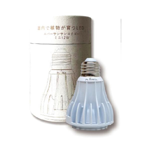 ゼンスイ エバーサン365 ミニ ホワイト EverSun365mini white 12W 植物
