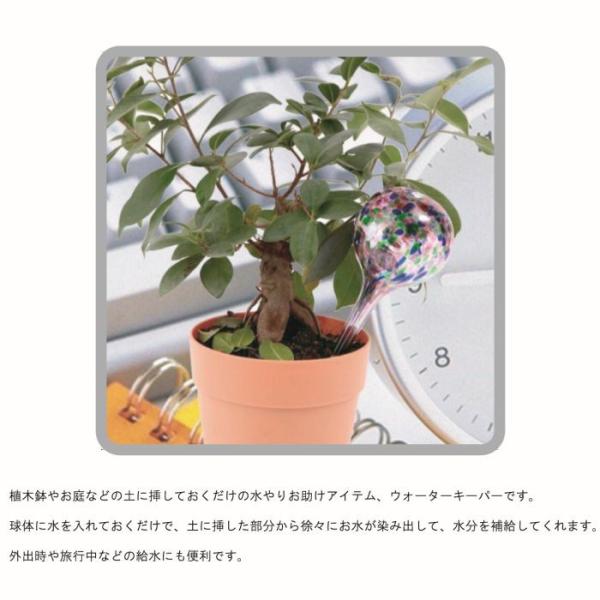 ウォーターキーパー 植物 水やり 便利 自動 旅行 留守 ガラス 植木鉢 プランター 水差し 散水ボール インテリア Buyee Buyee 日本の通販商品 オークションの代理入札 代理購入