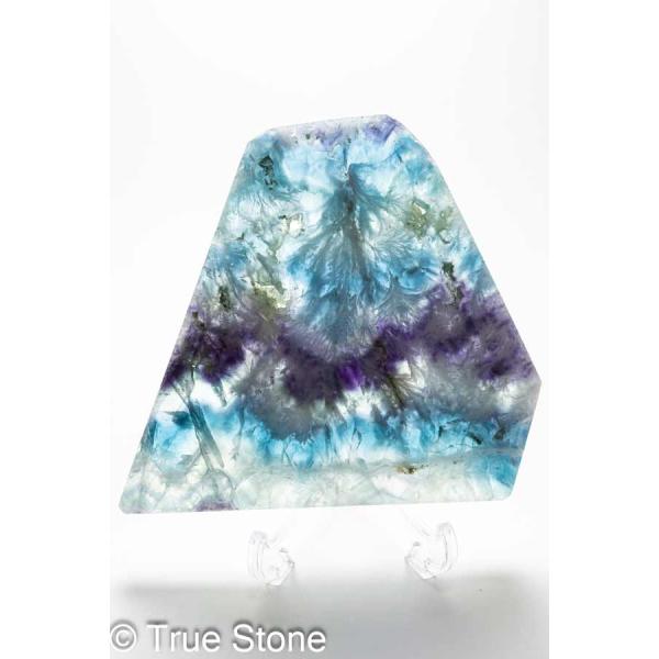 true-stone_2f-t-009_5_d_20250807184020