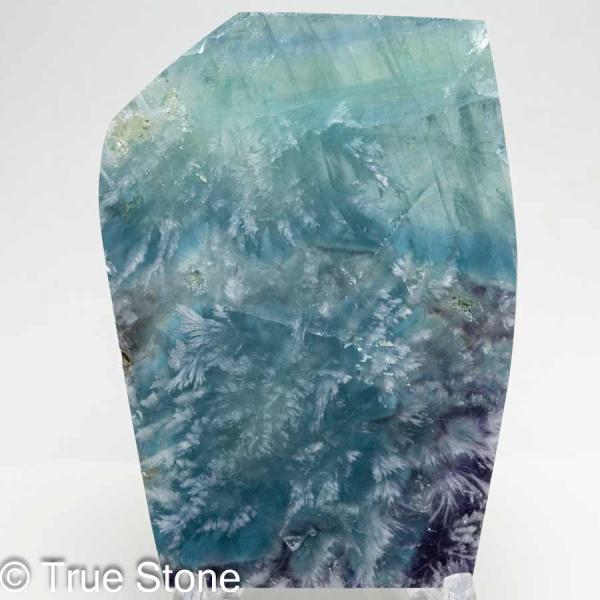 true-stone_2f-t-024_4_d_20250807184019