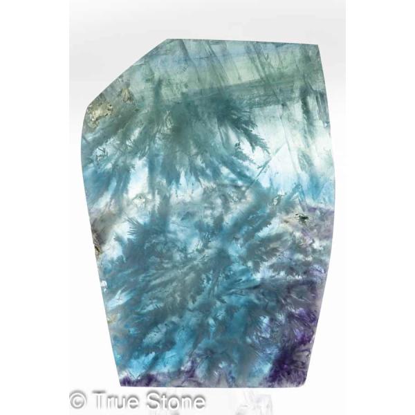 true-stone_2f-t-024_5_d_20250807184020