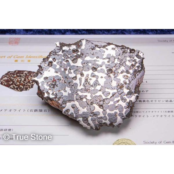 true-stone_co100-007 true-stone_co100-007