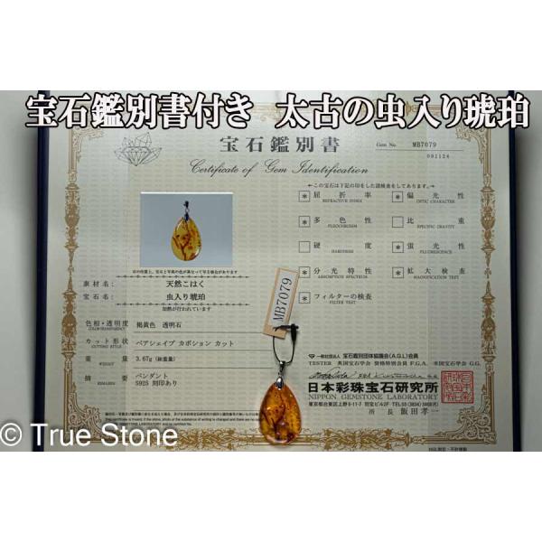 鑑別書付き バルティックアンバー 虫入り琥珀 ペンダントトップ