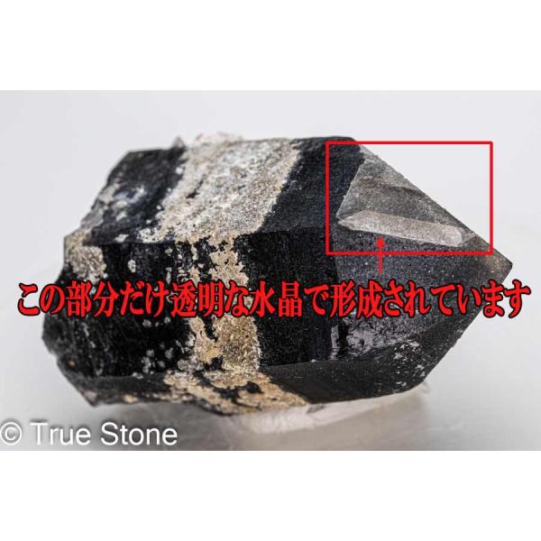 true-stone_rc160-012_4_d_20260228131023