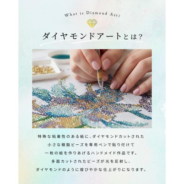 true-store6508_c75_2_d_20260210090427