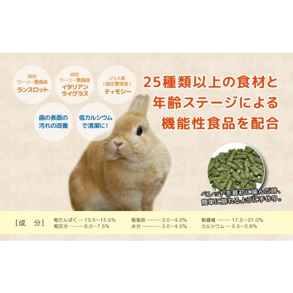 ウーリー シニアブルーム 800g 生後2歳 4歳 うさぎ ペレット 餌 ラビットフード ペット Buyee Buyee Japanese Proxy Service Buy From Japan Bot Online