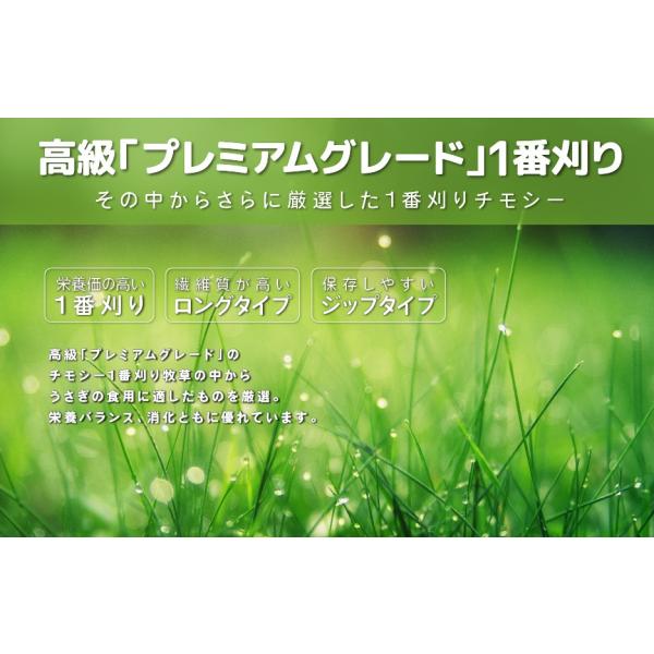 チモシー1番刈り The First Timothy 3kg 500g 6袋 うさぎ 牧草 ペット 餌 Www Cianilugano Ch