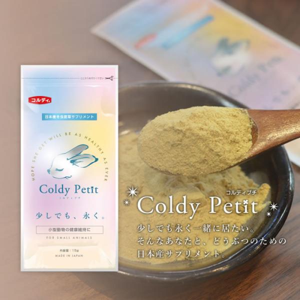 RfB v` 15g  Tv Tvg Ɖu H~ Nێ  e ybg ybgp RfB ~đ pE_[  RfBl