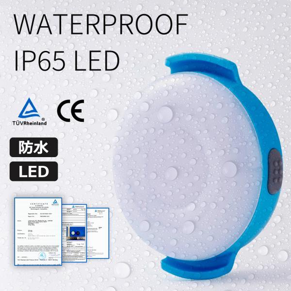 ペット用 小型 LEDライト 防水 点滅 全灯 Truelove 単色発光 夜の散歩 ストラップ取付 WATERPROOF IP65 USB充電