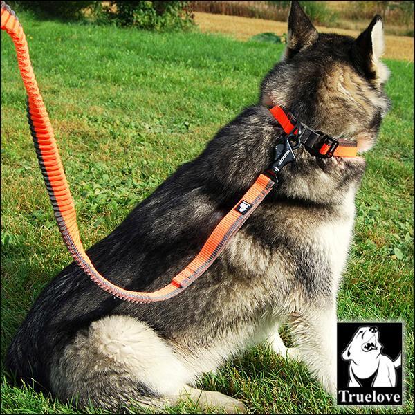 Truelove（トゥルーラブ） 犬 リード 伸縮リード 小型犬 大型犬 ロング