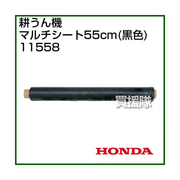 z_ T_FF300p }`V[g55cm(F) 11558