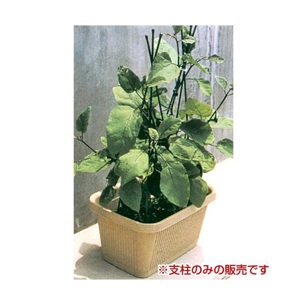 rj[ Orx 3{Zbg a7mm×90cm 5Zbg