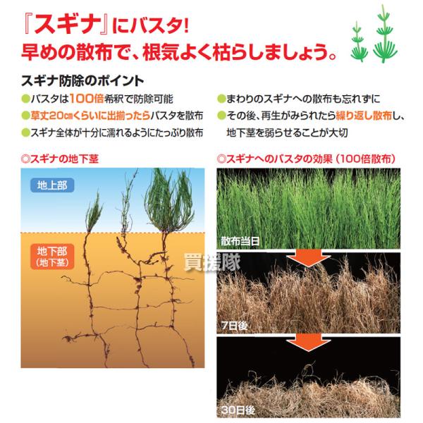 truetools_basf-002006_5