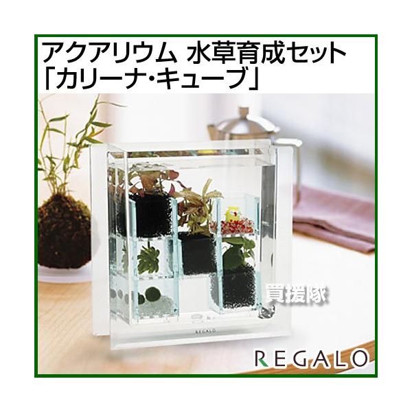 マリモ 水草 水槽の人気商品 通販 価格比較 価格 Com
