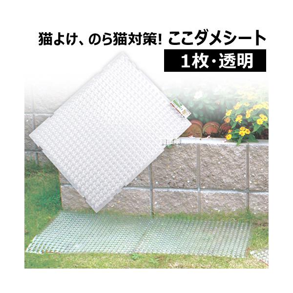 iP8{jiN[|1500~OFFjL悯 _V[g ^Cv Pi rj[