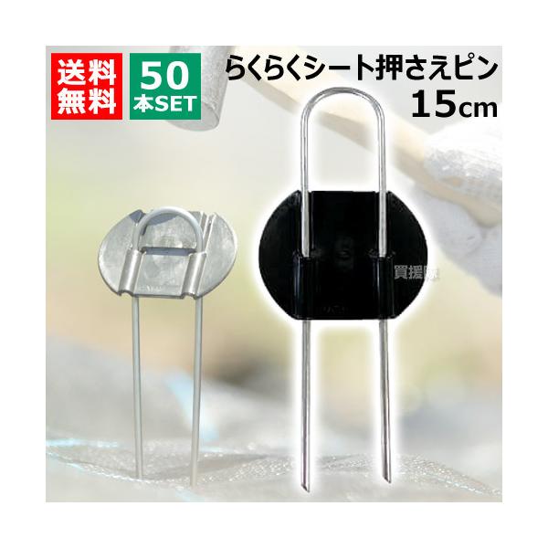 rj[ 炭炭V[gs 15cm i50{j