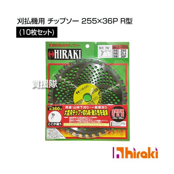 HIRAKI (10Zbg) @p `bv\[ 255×36P R^