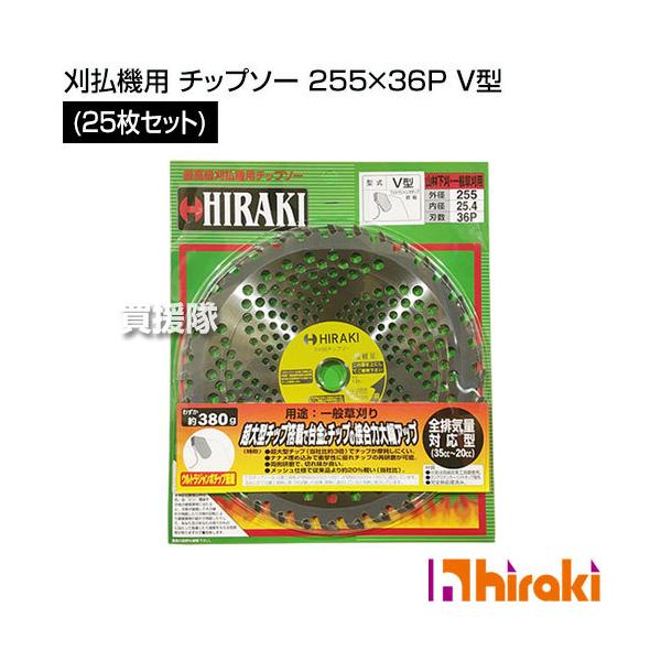 HIRAKI (25Zbg) @p `bv\[ 255×36P V^