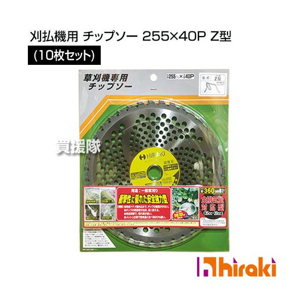 HIRAKI (10Zbg) @p `bv\[ 255×40P Z^