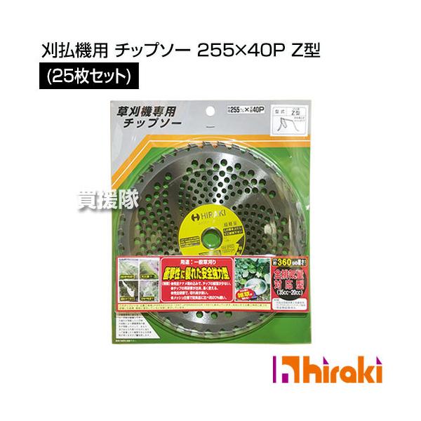 HIRAKI (25Zbg) @p `bv\[ 255×40P Z^