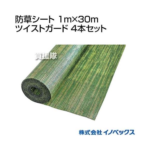 CmxbNX hV[g 1m×30m cCXgK[h 4{Zbg