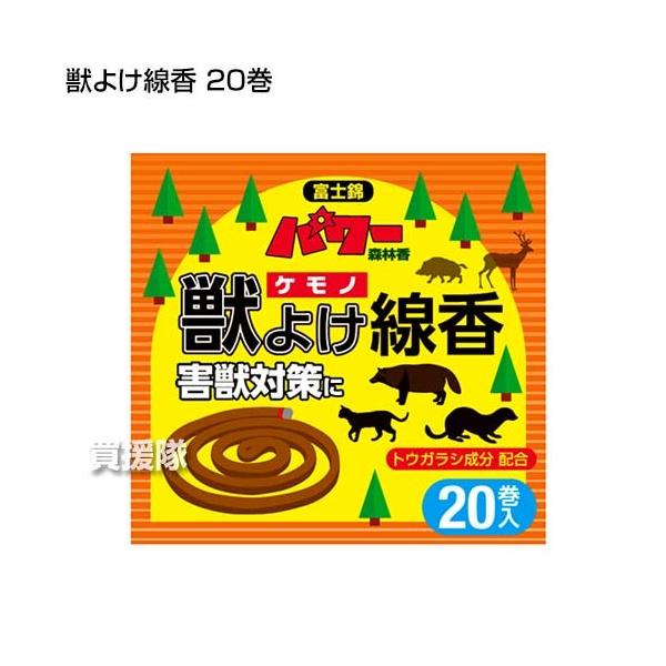 ʌZ b悯 20