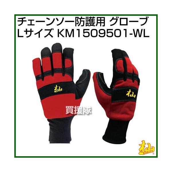 [ (SOMA) `F[\[hp O[u (LTCY) KM1509501-WL