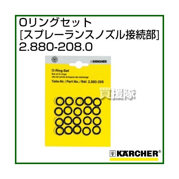 ケルヒャー 高圧洗浄機用 Oリングセット スプレーランスノズル接続部 2.880-208.0