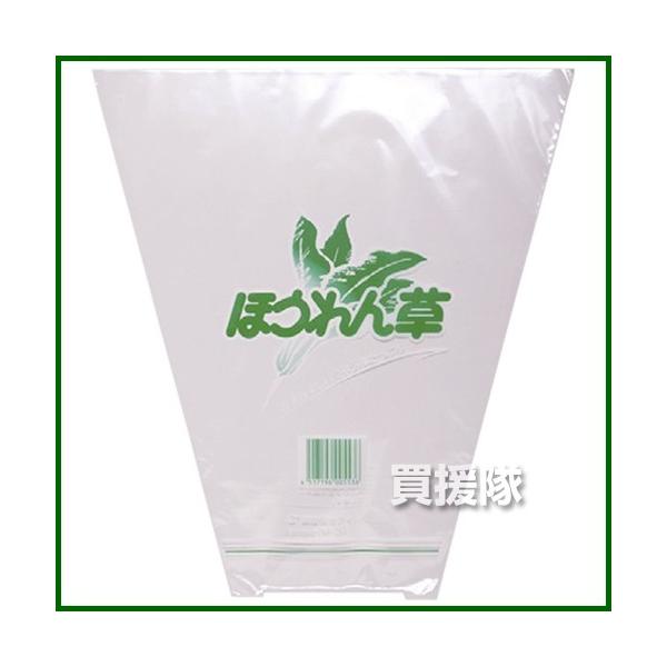 q M-3ق  2F 10000 280/120×300