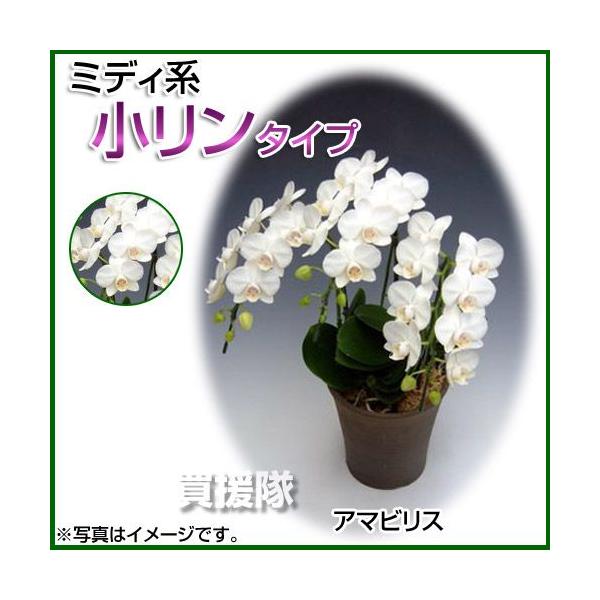 Ӓ ~fBn ^Cv 3{ 6 A}rX