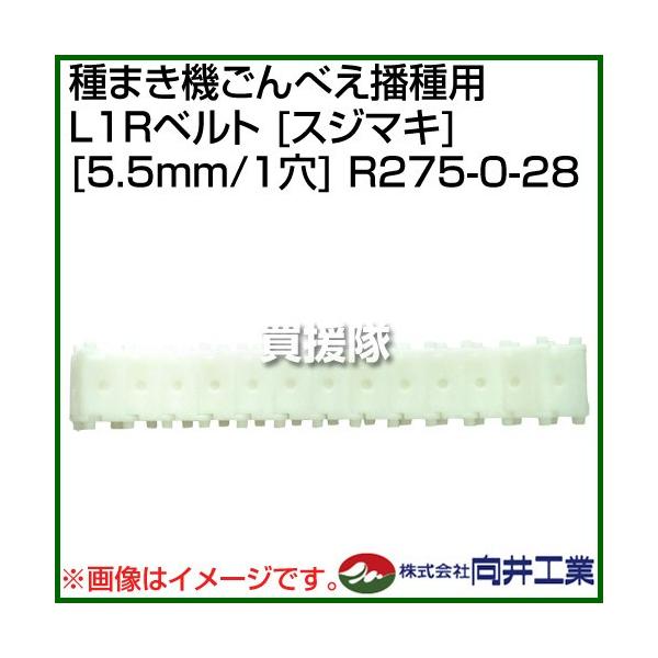 H ܂@ׂdp L1Rxg XW}L 5.5mm/1 R275-0-28 