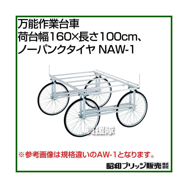 aubW \Ƒ [ב䕝160×100cmAm[pN^C] NAW-1