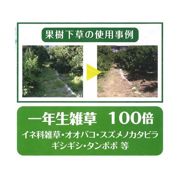 サンフーロン 除草剤 5l 4本セット ラウンドアップのジェネリック農薬 除草 希釈 グリホサート系 Buyee Buyee Japanese Proxy Service Buy From Japan Bot Online