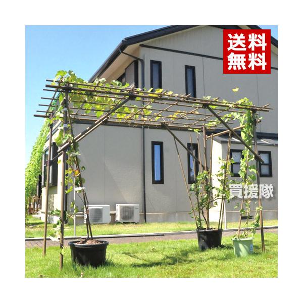 法人限定 フルーツパーゴラdx セキスイ Buyee Buyee 日本の通販商品 オークションの代理入札 代理購入