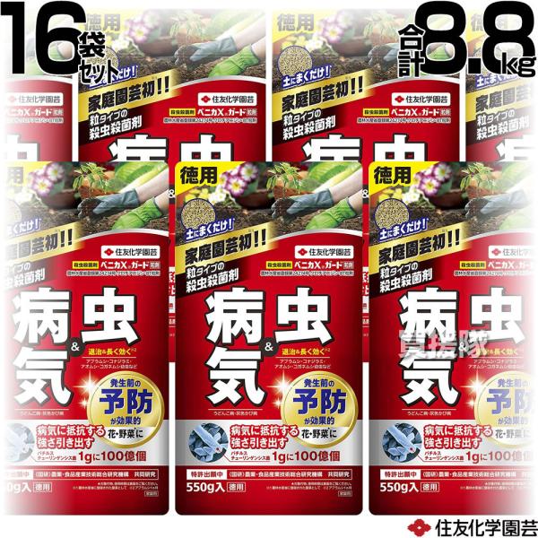 xjJxK[h 550 ZFw| 550g 16