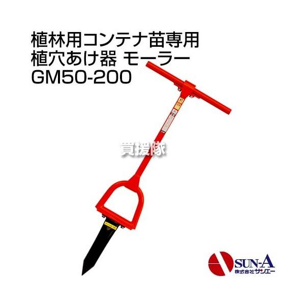 P5倍）（毎月10日は買援隊の日）サンエー 植林用コンテナ苗専用 植