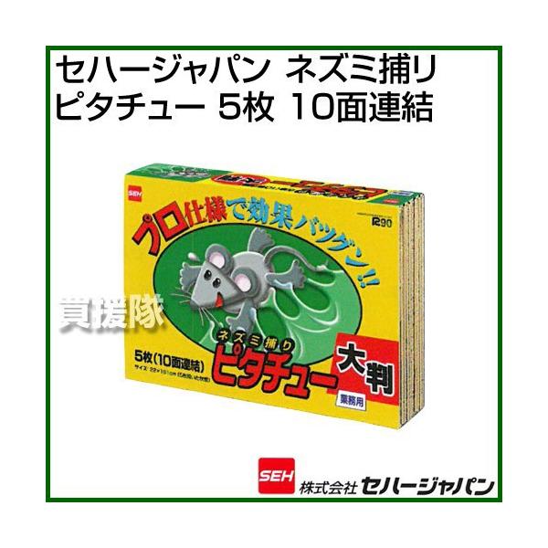 iP8{jiN[|4ōv4000~OFFjZn[Wp lY~߂s^`[ USV[g 唻 Ɩp 5 10ʘA TKTBR-030019