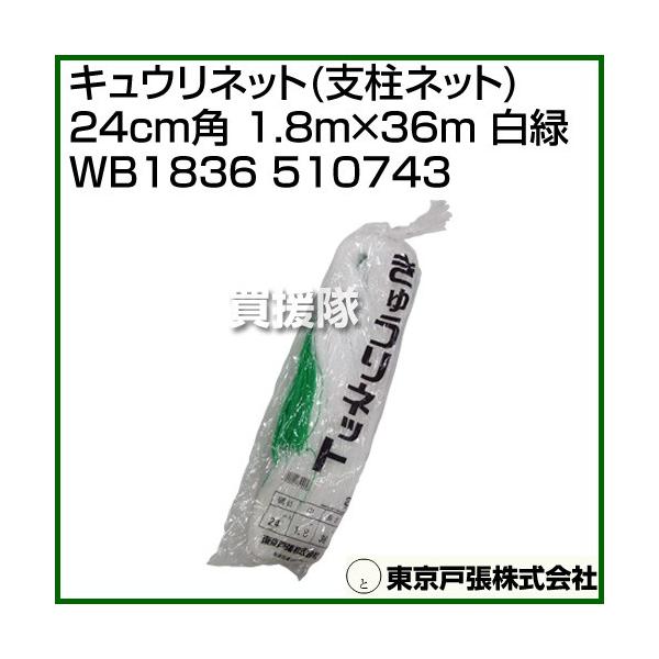 ˒ LElbg xlbg 24cmp 1.8m×36m  WB1836 510743 J[:/