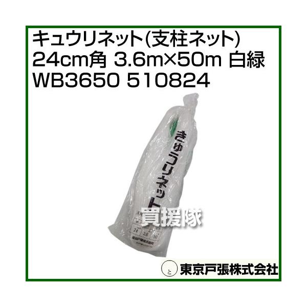 �����˒� �L���E���l�b�g �x���l�b�g 24cm�p 3.6m×50m ���� WB3650 510824 �J���[:��/��