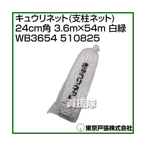 ˒ LElbg xlbg 24cmp 3.6m×54m  WB3654 510825 J[:/