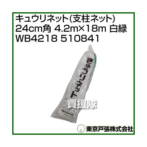 ˒ LElbg xlbg 24cmp 4.2m×18m  WB4218 510841 J[:/