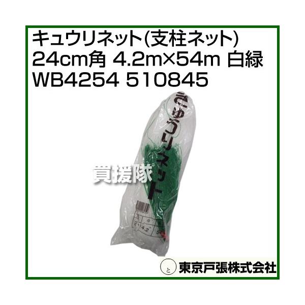 ˒ LElbg xlbg 24cmp 4.2m×54m  WB4254 510845 J[:/