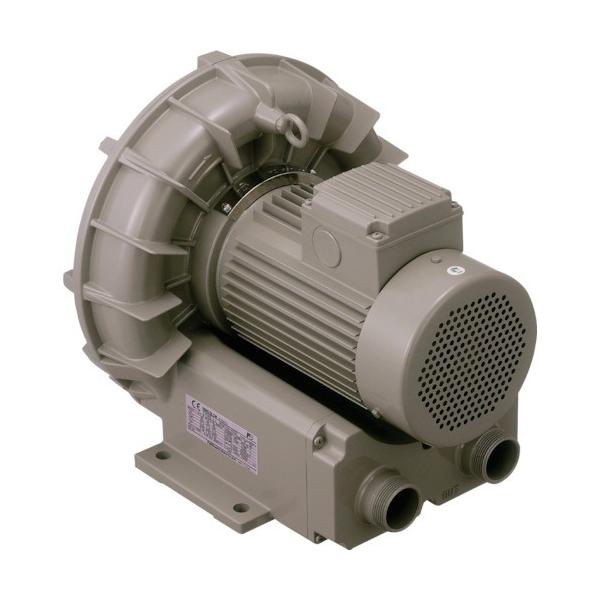 e TERAL OuVFZ-A^ VFZ801A Ԍ |Cg10{