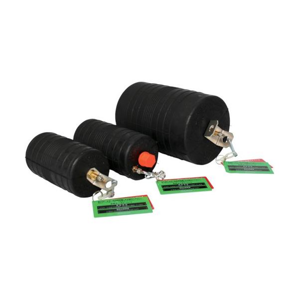 z[V Hoshin ~{[ V[g^Cv 250 oCpXt PS250BA Ԍ |Cg10{