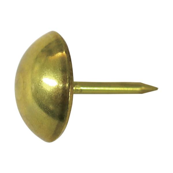 _Ch[ng DAIDOHANT HP ^J ەe 16×22 4{ 10183178 Ԍ |Cg10{