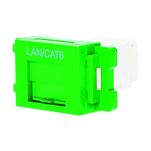 �p���h�E�C�b�g�R�[�|���[�V���� PANDUIT �J�e�S��6JIS�v���[�g�p�W���b�N�L�b�g �� JAOSSP6TGGR ���Ԍ��� �|�C���g10�{