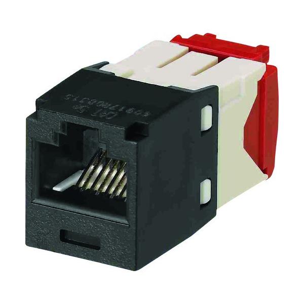phECbgR[|[V PANDUIT JeS5E RJ45W[WbN UTP TG^Cv  CJ5E88TGBL CJ5E88TGBL Ԍ |Cg10{