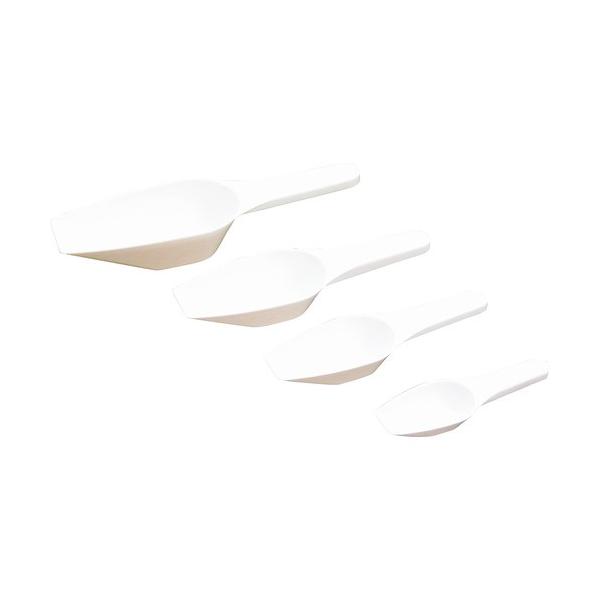 {Wp Ii 1262-01 vʃXv[PP 4703\1001 4703-1001 Ԍ |Cg10{