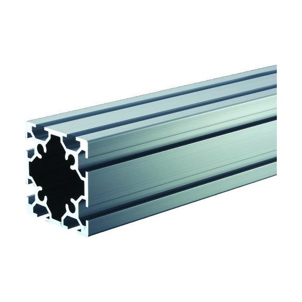 gXRR TRUSCO TSF30t[ 60X60-1100 TSF60602S-1100 Ԍ |Cg10{